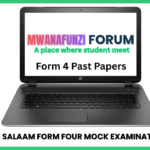 Dar es Salaam Form Four Mock Exam 2025 with Marking Schemes
