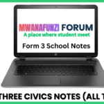 Form Three Civics Notes (All Topics)