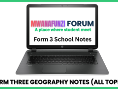 Form Three Geography Notes (All Topics)